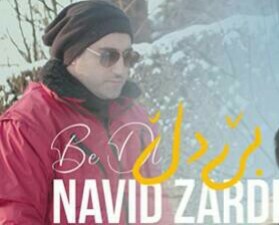 نوید زردی بی دل